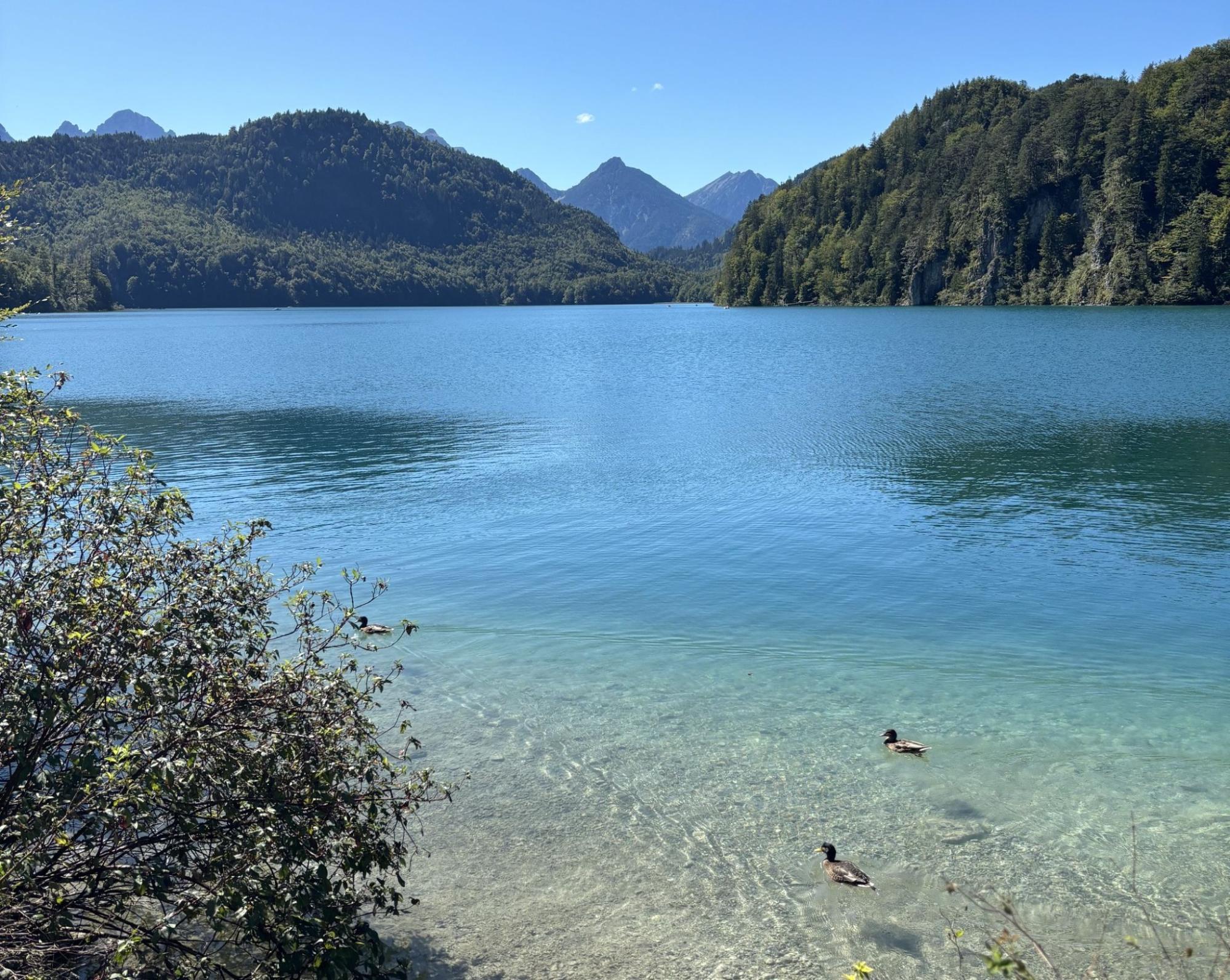 Panoramic landscape near Neuschwanstein Castle